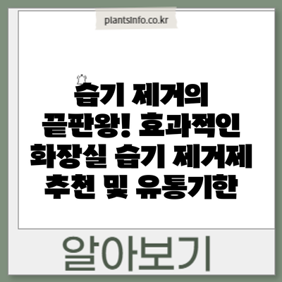 습기 제거의 끝판왕! 효과적인 화장실 습기 제거제 추천 및 유통기한