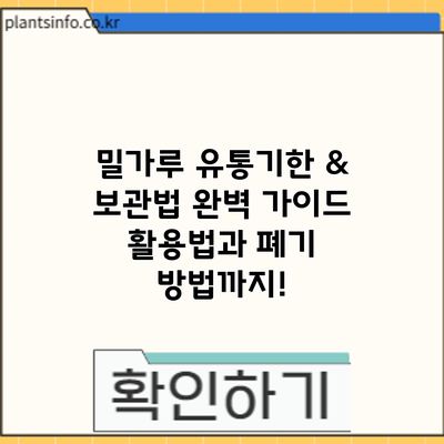 밀가루 유통기한 & 보관법 완벽 가이드: 활용법과 폐기 방법까지!