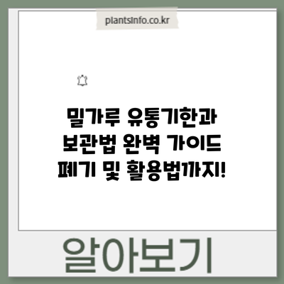 밀가루 유통기한과 보관법 완벽 가이드: 폐기 및 활용법까지!