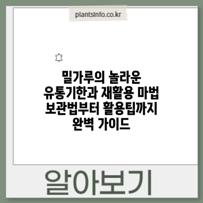 밀가루의 놀라운 유통기한과 재활용 마법: 보관법부터 활용팁까지 완벽 가이드