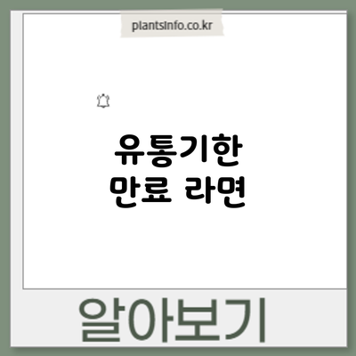 유통기한 만료 라면