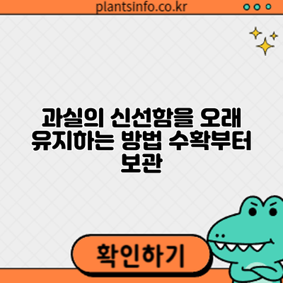 과실의 신선함을 오래 유지하는 방법: 수확부터 보관
