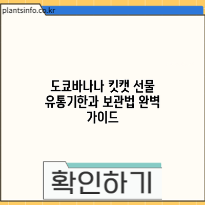 도쿄바나나 킷캣 선물: 유통기한과 보관법 완벽 가이드