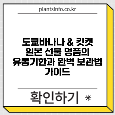 도쿄바나나 & 킷캣: 일본 선물 명품의 유통기한과 완벽 보관법 가이드