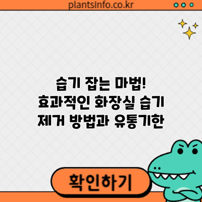 습기 잡는 마법! 효과적인 화장실 습기 제거 방법과 유통기한