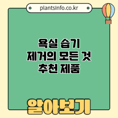 욕실 습기 제거의 모든 것: 추천 제품