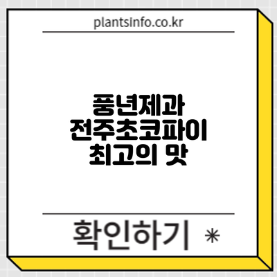 풍년제과 전주초코파이 최고의 맛