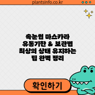 속눈썹 마스카라 유통기한 & 보관법: 최상의 상태 유지하는 팁 완벽 정리