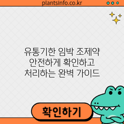유통기한 임박 조제약? 안전하게 확인하고 처리하는 완벽 가이드
