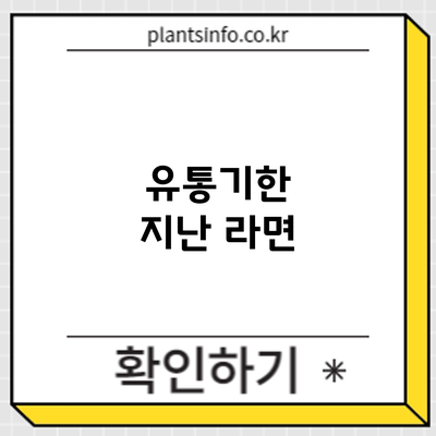 유통기한 지난 라면