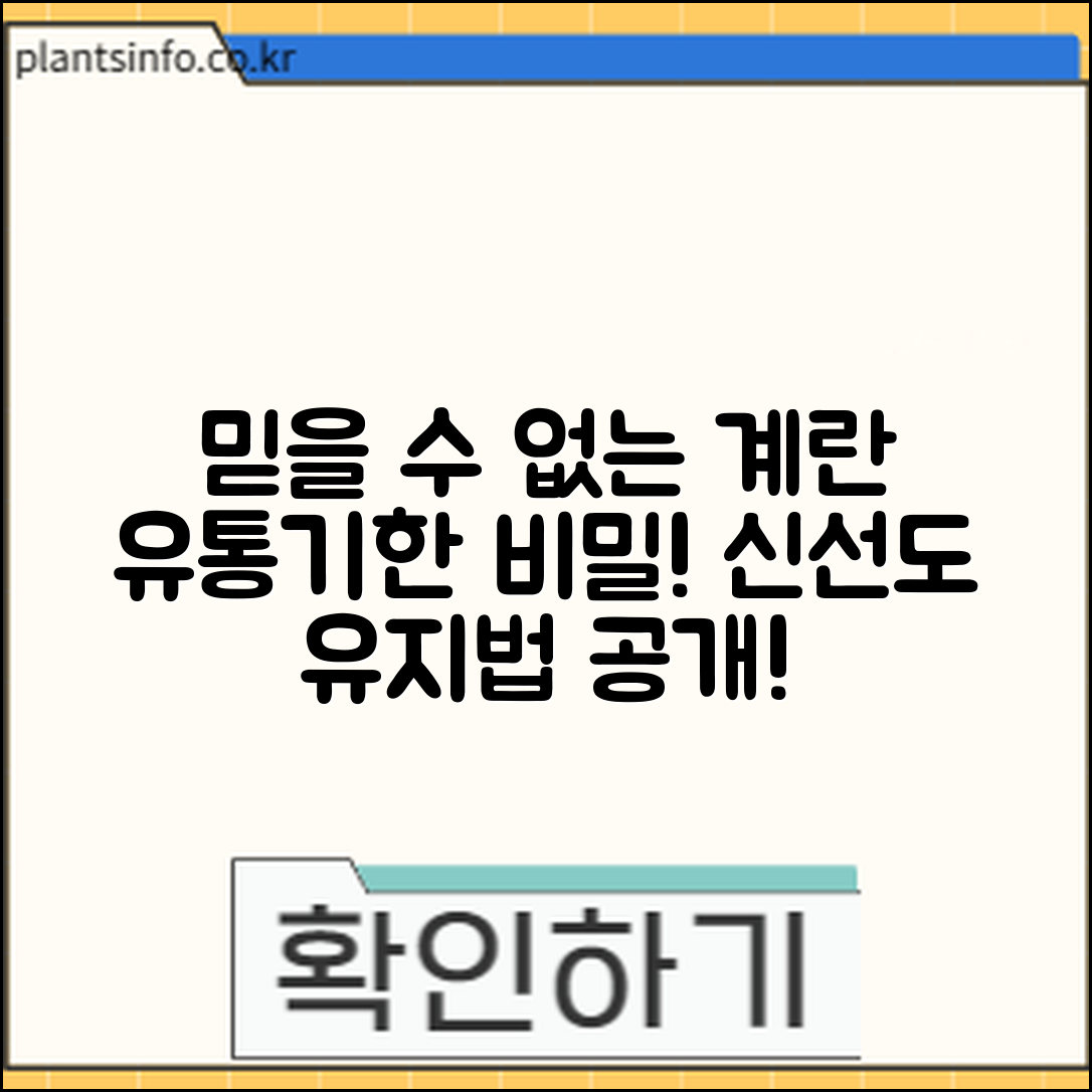 믿을 수 없는 계란 유통기한과 신선도 유지법