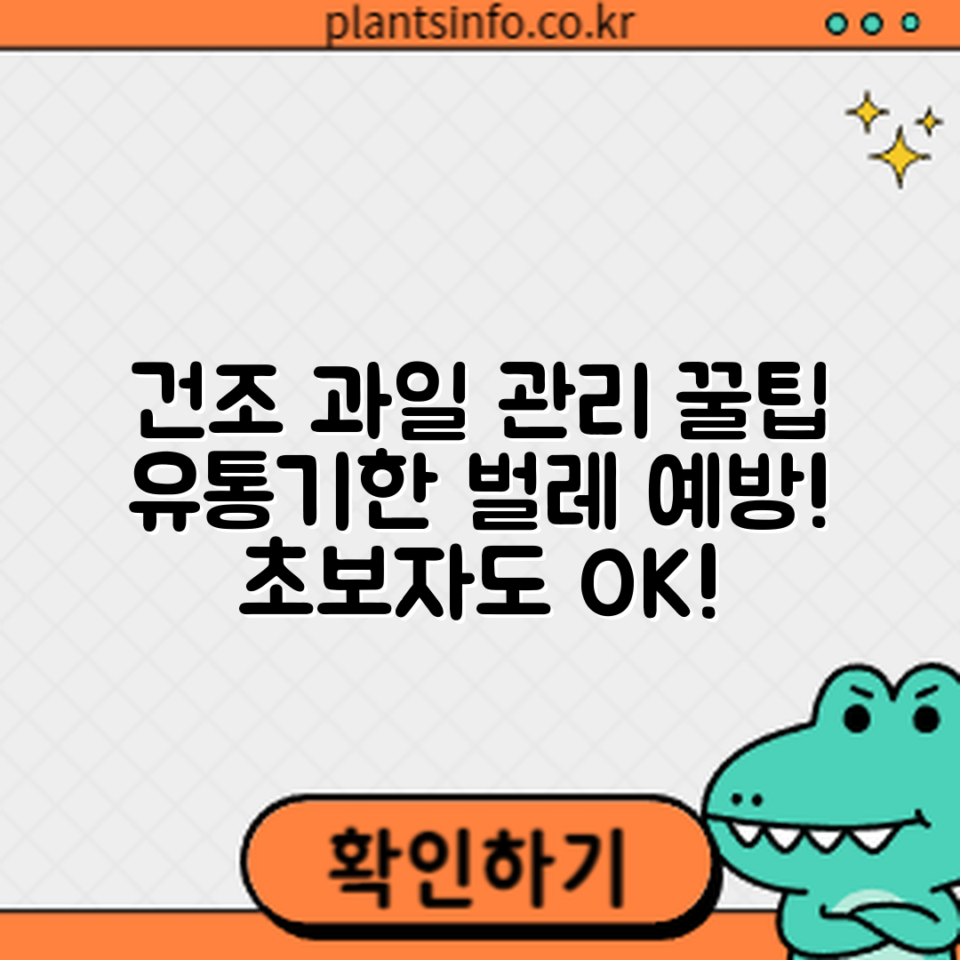 초보자도 쉽게 관리하는 건조 과일 유통기한과 벌레 예방