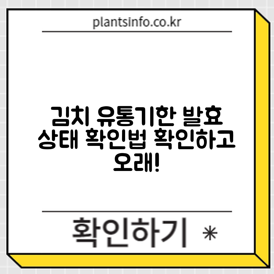 김치 유통기한, 발효 상태는 어떻게 확인할까요?