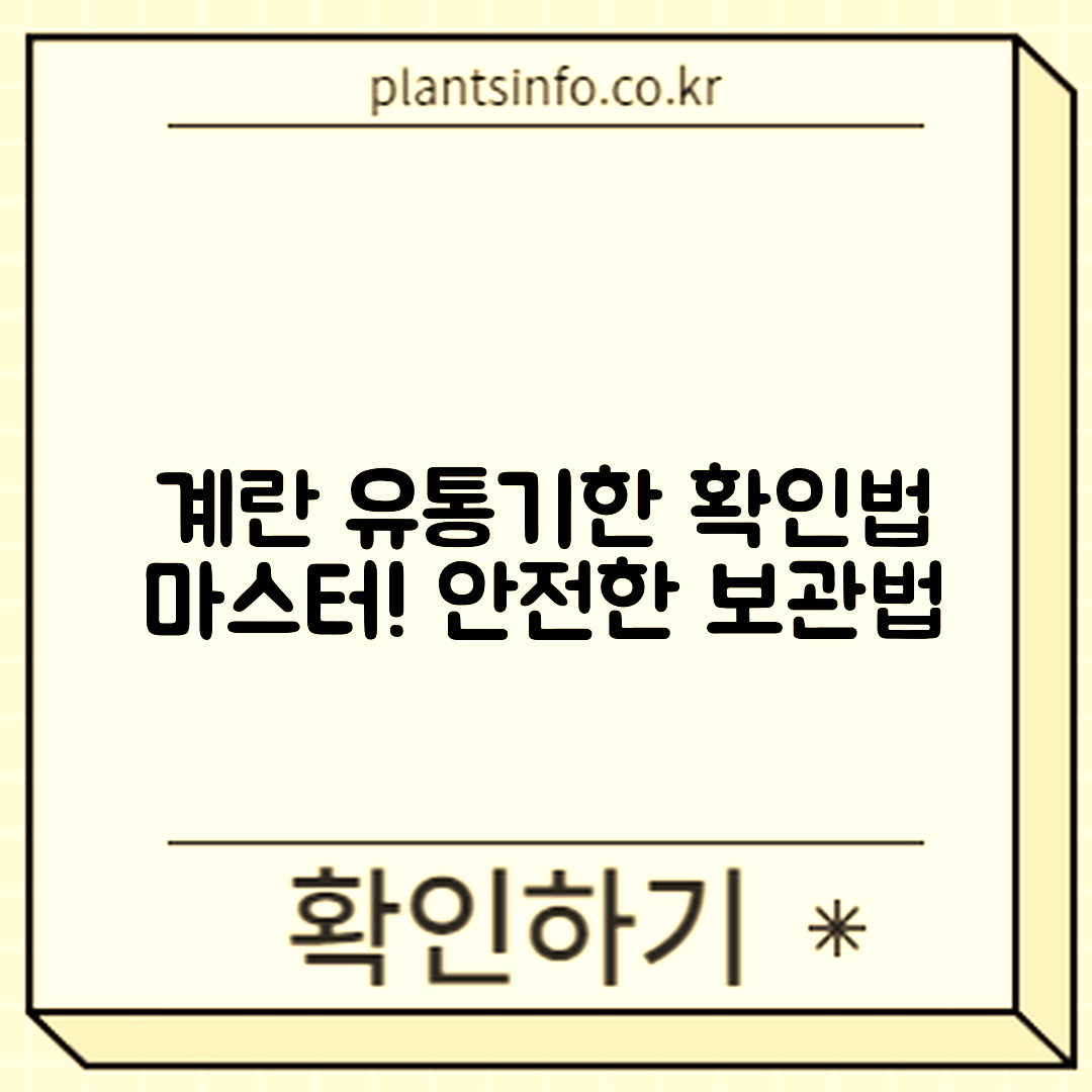 계란 유통기한 확인법 마스터하기: 안전한 보관 및 섭취법