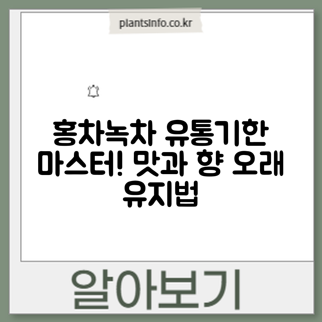 홍차·녹차 유통기한 마스터하기: 맛과 향 오래 유지법