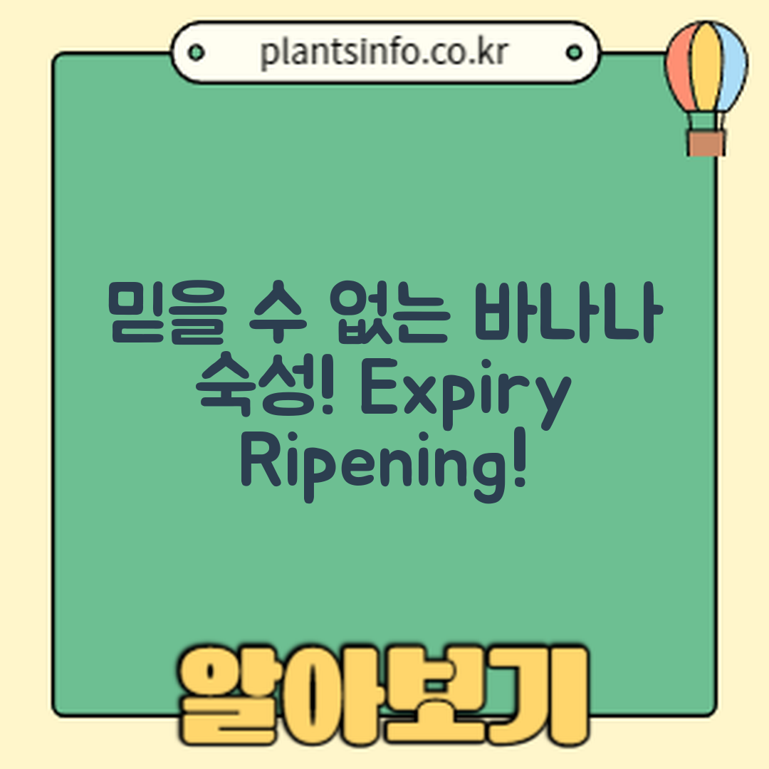 믿을 수 없는 바나나 유통기한과 숙성 시기!