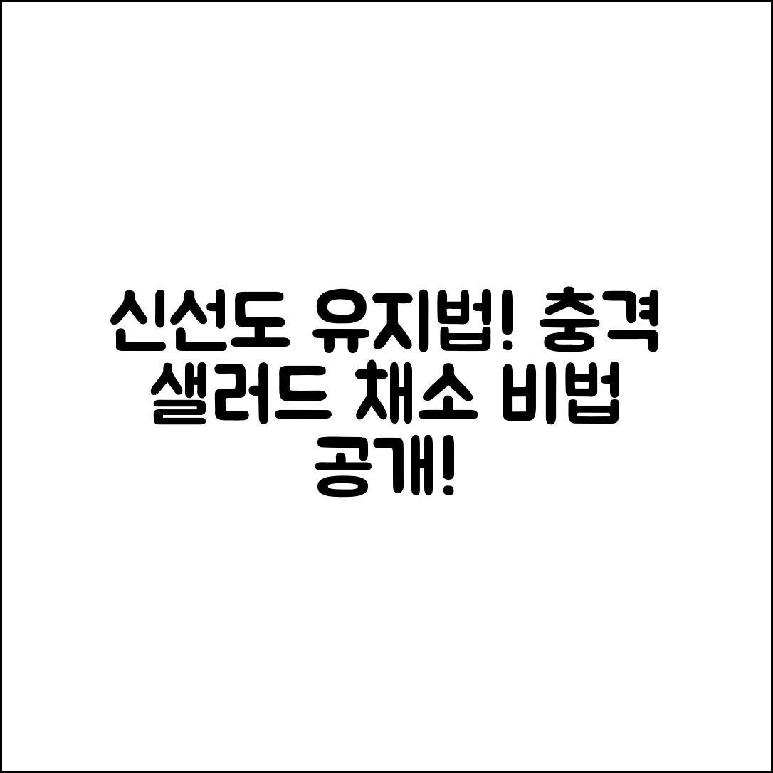 충격적인 샐러드용 채소, 신선도 유지 비법!