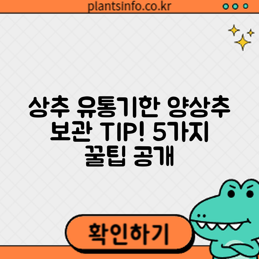 상추·양상추 유통기한과 보관 꿀팁 5가지