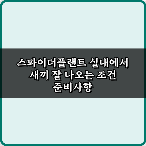 스파이더플랜트 실내에서 새끼 잘 나오는 조건? 7가지 특급 비법 대공개!