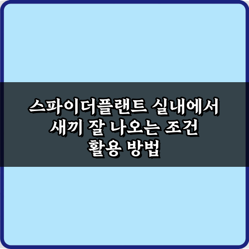 스파이더플랜트 실내에서 새끼 잘 나오는 조건? 7가지 특급 비법 대공개!