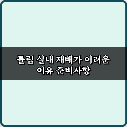 튤립 실내 재배가 어려운 이유? 성공 비법 5가지 대공개!