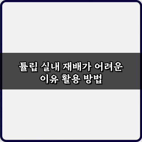 튤립 실내 재배가 어려운 이유? 성공 비법 5가지 대공개!