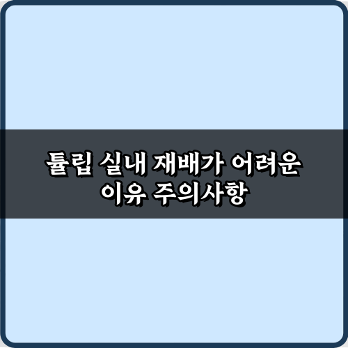 튤립 실내 재배가 어려운 이유? 성공 비법 5가지 대공개!