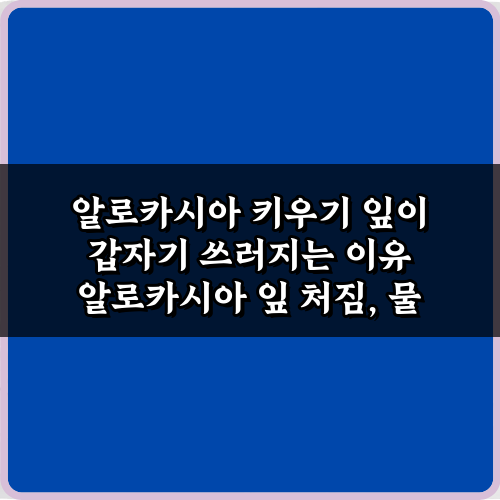 알로카시아 키우기 잎이 갑자기 쓰러지는 이유? 4가지 해결 비법