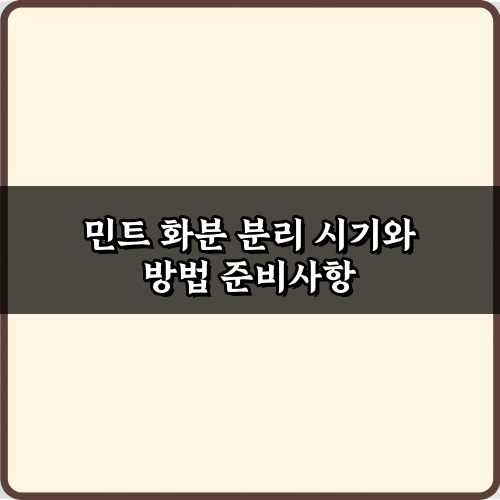 싱싱한 민트! 3단계 민트 화분 분리 시기와 방법 완벽 가이드