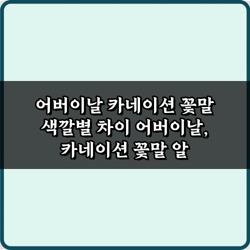 센스 있는 선물! 어버이날 카네이션 꽃말 색깔별 차이 7가지 비법