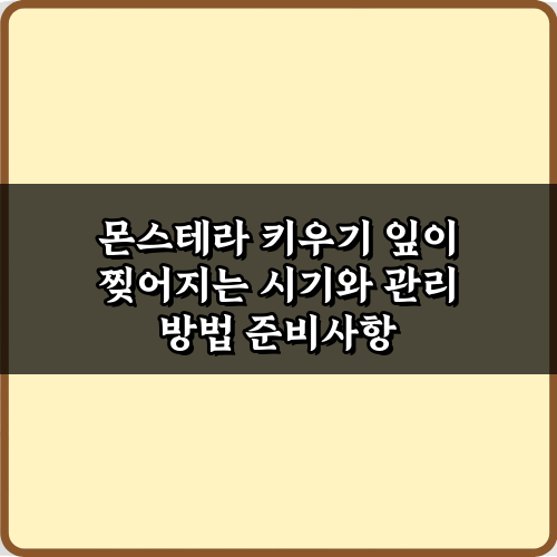 몬스테라 키우기 잎이 찢어지는 시기와 관리 방법 5가지 비법