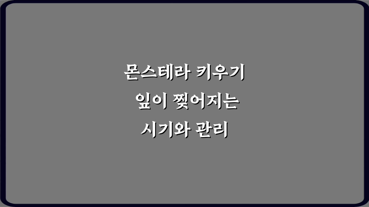 몬스테라 키우기 잎이 찢어지는 시기와 관리 방법 5가지 비법