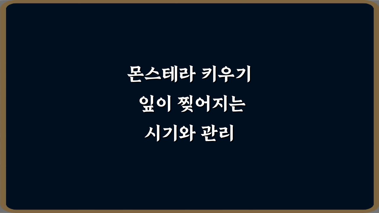 몬스테라 키우기 잎이 찢어지는 시기와 관리 방법 5가지 비법