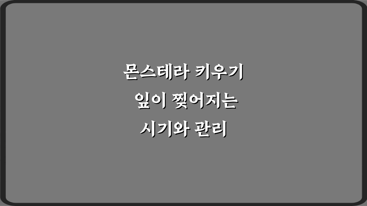 몬스테라 키우기 잎이 찢어지는 시기와 관리 방법 5가지 비법