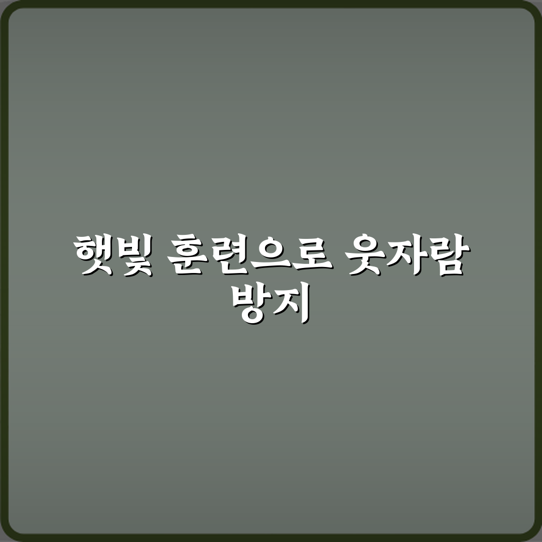 웃자람 NO! 다육이 웃자람 방지하는 햇빛 관리법 3단계