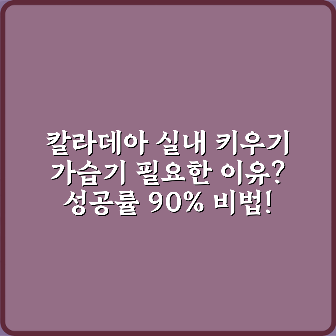 칼라데아 실내 키우기 가습기 필요한 이유? 성공률 90% 비법!