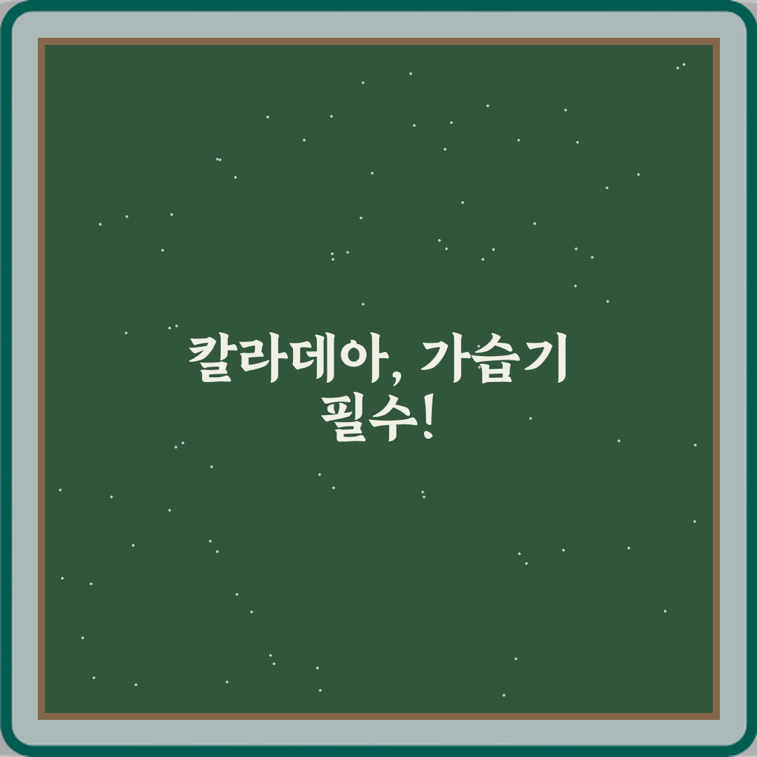 칼라데아 실내 키우기 가습기 필요한 이유? 성공률 90% 비법!