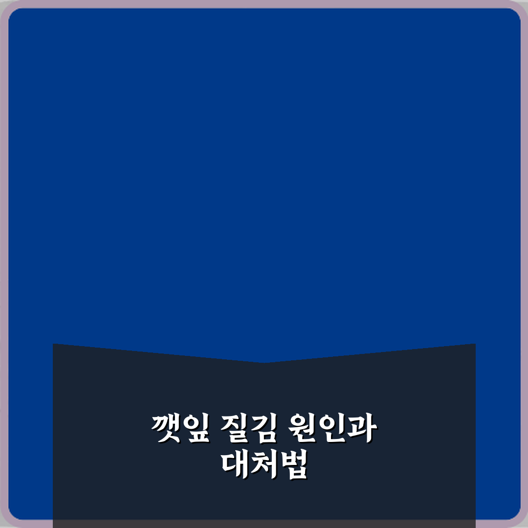 깻잎 잎이 질겨지는 이유 꿀팁 친구에게 알려드려요