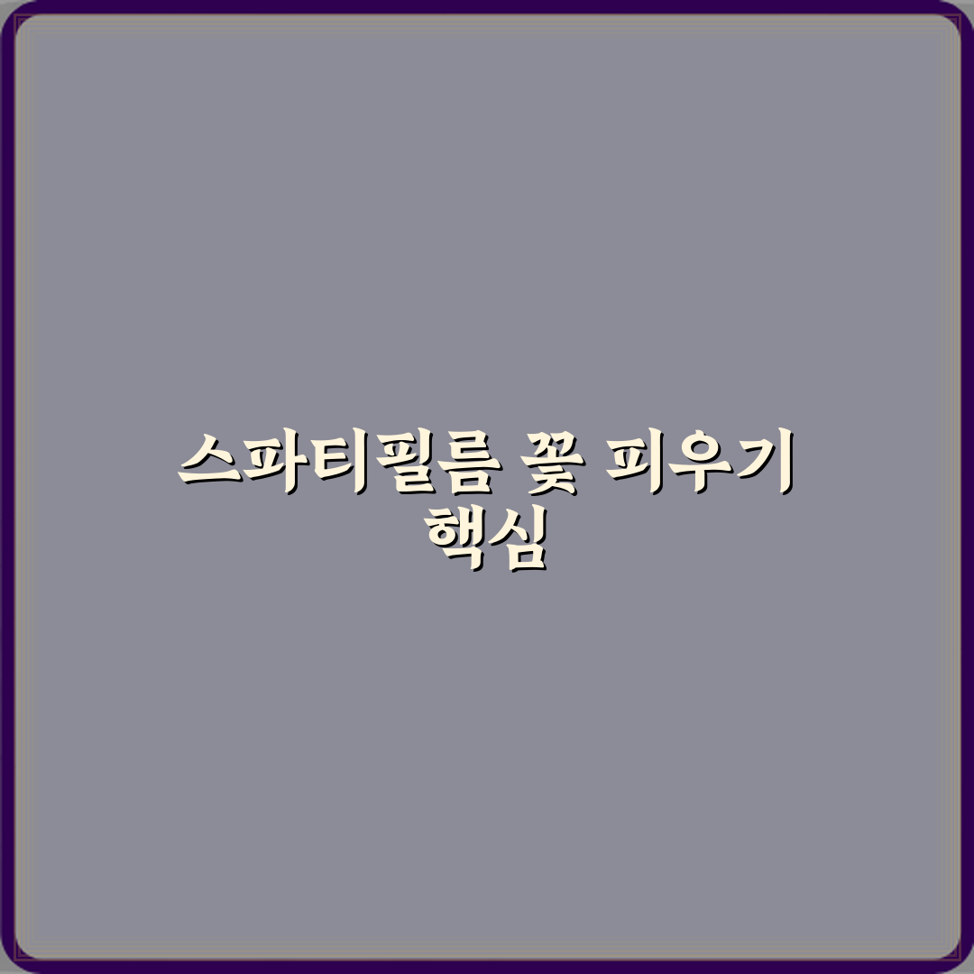 스파티필름 실내 키우기 꽃 피는 조건 정리 심층분석: 7가지 핵심 포인트