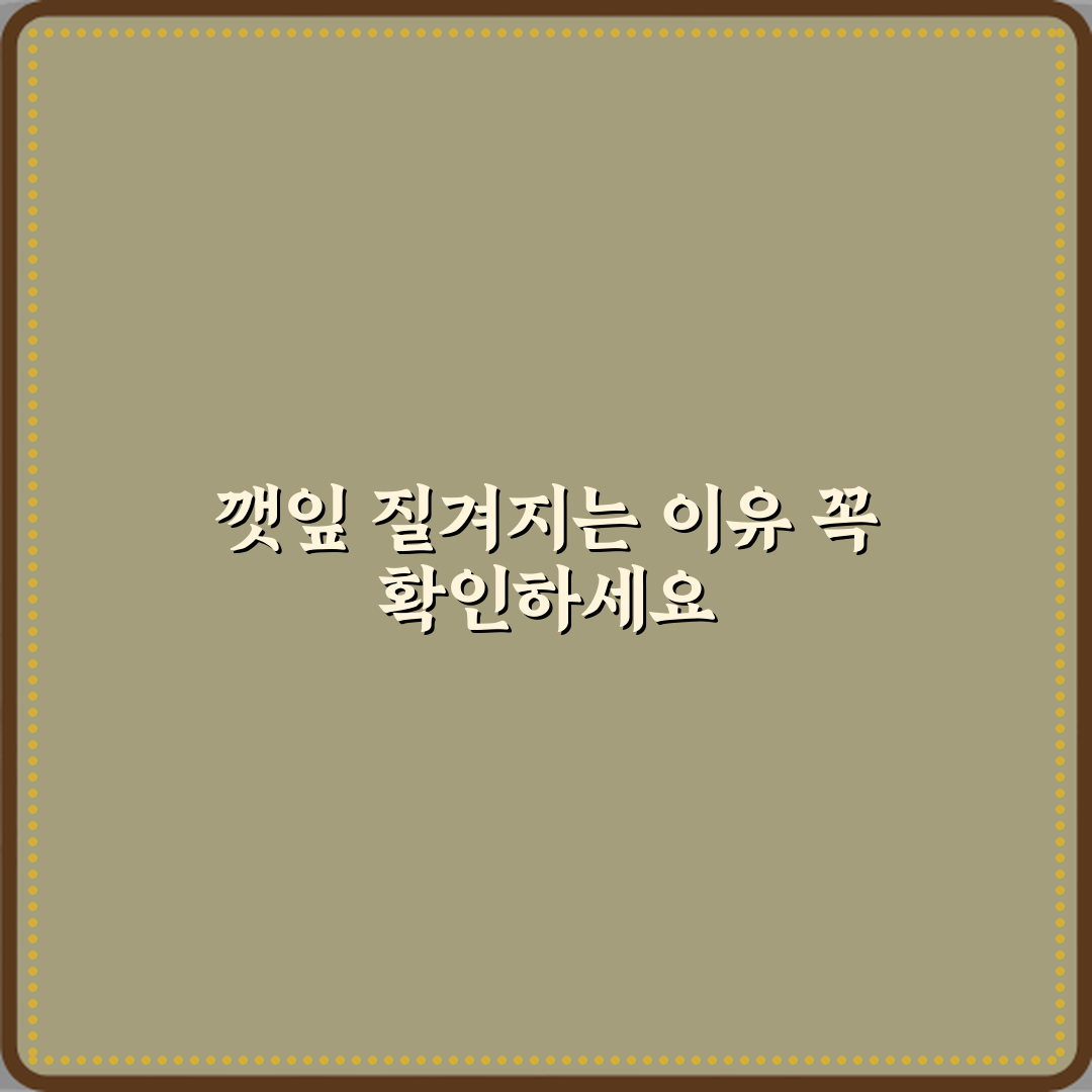 깻잎 잎이 질겨지는 이유 꿀팁 친구에게 알려드려요